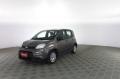 usato FIAT Panda
