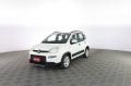 usato FIAT Panda