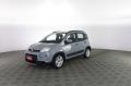 usato FIAT Panda
