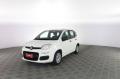 usato FIAT Panda