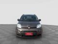 usato FIAT Panda