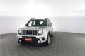 usato JEEP Renegade