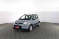 usato FIAT Panda