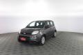 usato FIAT Panda