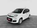 usato FIAT Panda