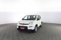 usato FIAT Panda