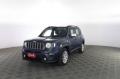 usato JEEP Renegade