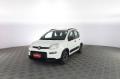 usato FIAT Panda