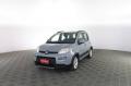 usato FIAT Panda