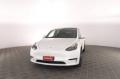 usato TESLA Model Y