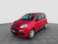 usato FIAT Panda
