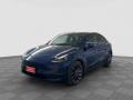 usato TESLA Model Y