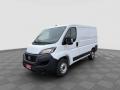 usato FIAT Ducato