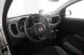 usato FIAT Panda