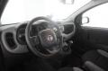 usato FIAT Panda