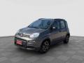 usato FIAT Panda