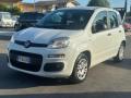 usato FIAT Panda