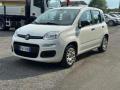 usato FIAT Panda