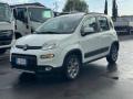 usato FIAT Panda