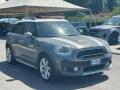 usato MINI Countryman