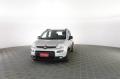 usato FIAT Panda