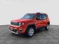 usato JEEP Renegade