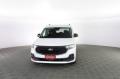 usato FORD Tourneo Connect