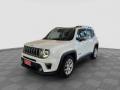 usato JEEP Renegade