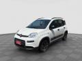 usato FIAT Panda