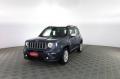 usato JEEP Renegade