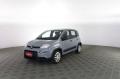 usato FIAT Panda