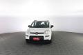 usato FIAT Panda