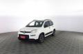 usato FIAT Panda