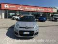 usato FIAT Panda