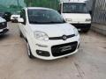 usato FIAT Panda