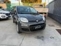 usato FIAT Panda