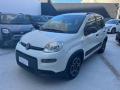 usato FIAT Panda