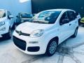 Km 0 FIAT Pandina
