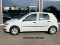 usato FIAT Punto