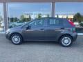 usato FIAT Punto
