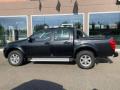 nuovo GREAT WALL Steed