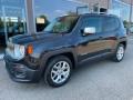 usato JEEP Renegade