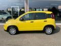nuovo FIAT Panda