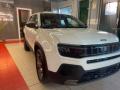 usato JEEP Avenger