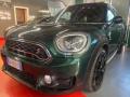 usato MINI Countryman