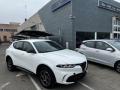 usato ALFA ROMEO Tonale