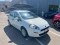 usato FIAT Punto