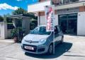 usato FIAT Panda