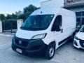 usato FIAT Ducato