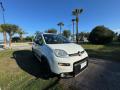 usato FIAT Panda